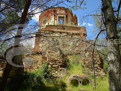 casa-del-bosque1_0