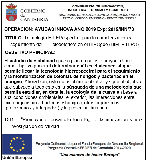 INNOVA 2019